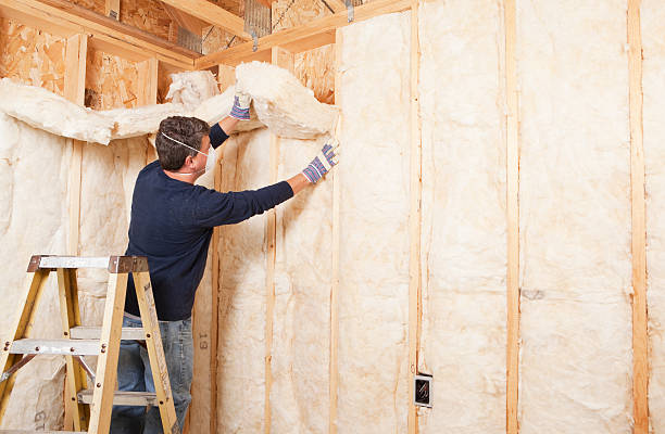 Best Commercial Insulation Services  in Irmo, SC