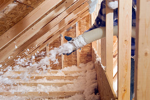 Best Insulation Air Sealing  in Irmo, SC